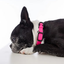 Load image into Gallery viewer, Nuvuq Collier ajustable pour chien, Rose framboise