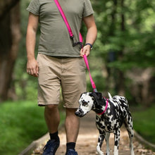 Charger l'image dans la galerie, Nuvuq Laisse multifonctionnelle pour chien, Rose framboise