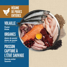 Load image into Gallery viewer, ORIJEN Chien Amazing Grains Originale