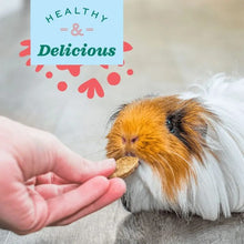 Charger l'image dans la galerie, Oxbow Natural Science - Suppléments pour rongeur - Articulations