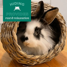 Charger l'image dans la galerie, Oxbow Timothy Club - Languette de foin Timothy