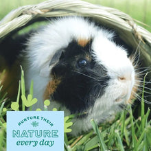 Charger l'image dans la galerie, Oxbow Timothy Club - Tunnel de foin Timothy