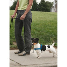 Charger l'image dans la galerie, PetSafe Harnais pour chien deluxe "Easy Walk" - Bleu