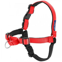 Charger l'image dans la galerie, PetSafe Harnais pour chien deluxe "Easy Walk" - Rouge
