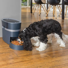 Charger l'image dans la galerie, Petsafe Distributeur de nourriture automatique Smart Feed - Jusqu'à 24 tasses