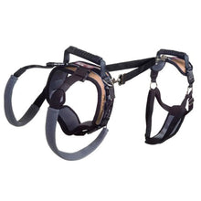 Charger l'image dans la galerie, Petsafe Harnais de levage pour chien CareLift - Corps complet