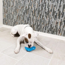 Charger l'image dans la galerie, Petsafe Jouet pour chien - Chilly pingouin