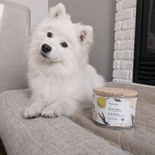 Charger l'image dans la galerie, Purodora Lab Bougie de soya - Neutralisant d'odeurs d'animaux - Poire et genévrier 13 oz