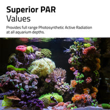 Charger l'image dans la galerie, Rampe d’éclairage à DEL Reef 4.0 Fluval - 46 W, 88-126 cm - (35-49 po)
