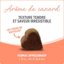 Charger l'image dans la galerie, Suppléments Nutrience Care pour chiens - Probiotique+ - 100 bouchées tendres 400 gr