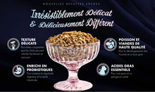 Charger l'image dans la galerie, Nourriture Fromm PurrSnickitty Chat Splendeur de Saumon