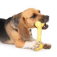 Load image into Gallery viewer, Os Duo Zeus, parfum de noix de coco, jaune, 18 cm (7 po)