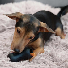 Charger l'image dans la galerie, Zeus jouet Chewchasers en caoutchouc pour gâterie - Arachide - Noir