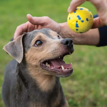 Charger l'image dans la galerie, Zeus jouet Nitro - Balle lestée