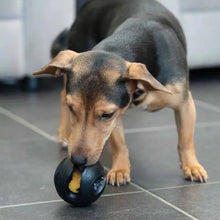Charger l'image dans la galerie, Zeus jouet Chewchasers en caoutchouc pour gâterie - Balle - Noir