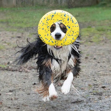 Charger l'image dans la galerie, Zeus jouet Nitro - Disque volant