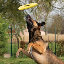 Charger l'image dans la galerie, Zeus jouet Nitro - Disque volant