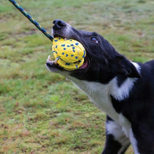 Charger l'image dans la galerie, Zeus jouet Nitro - Fronde lestée avec corde