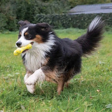 Charger l'image dans la galerie, Zeus jouet Nitro - Os flexible