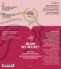 Load image into Gallery viewer, Accélérateur de séchage et anti-frisottis Blow My Secret