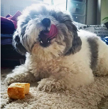 Charger l'image dans la galerie, Yeti Puff and PLay - Recharge de fromage de yak 30 morceaux