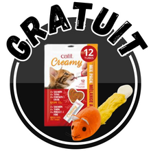 Charger l'image dans la galerie, Catit abreuvoir avec fleur 3 Litres avec napperon et bol interactif + CADEAUX