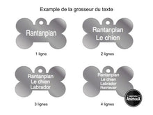 Charger l'image dans la galerie, Médaille collection Arc-en-ciel, Os Petit