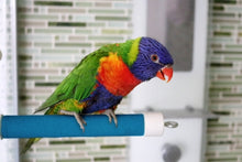 Charger l'image dans la galerie, Perchoir repliable pour douche ou fenêtre ACTIVE.PLAY HARI, petit