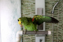 Charger l'image dans la galerie, Perchoir repliable pour douche ou fenêtre ACTIVE.PLAY HARI, grand