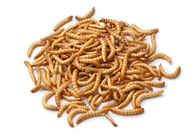 Charger l'image dans la galerie, PICARDIE VERS DE FARINE 300GR