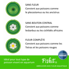 Charger l'image dans la galerie, Abreuvoir pour poisson Fishit