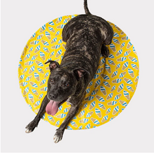 Charger l'image dans la galerie, ICE MAT™ - Tapis de refroidissement - Cornets jaune