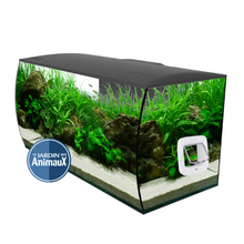 Charger l'image dans la galerie, Porte pour poissons, FISH DOOR, poisson libre pour poisson de petite taille.