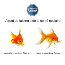 Charger l'image dans la galerie, Nourriture pour vieux poissons , formule blanchiment des dents, 450 g