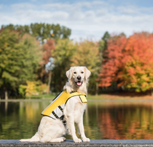 Charger l'image dans la galerie, Gilet de sauvetage pour chien (S) - Life Jacket - GF Pet