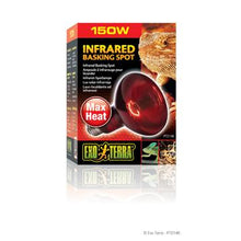 Charger l'image dans la galerie, Ampoule à infrarouge Exo Terra pour lézarder, R30, 150 W - Boutique Le Jardin Des Animaux -Eclairage reptileBoutique Le Jardin Des AnimauxPt2146