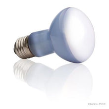 Charger l'image dans la galerie, Ampoule à lumière du jour Exo Terra pour lézarder, R25, 100 W - Boutique Le Jardin Des Animaux -Eclairage reptileBoutique Le Jardin Des AnimauxPT2133
