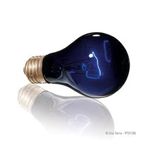 Charger l'image dans la galerie, Ampoule incandescente clair de lune Night Glo Exo Terra, A19/50 W - Boutique Le Jardin Des Animaux -Eclairage reptileBoutique Le Jardin Des AnimauxPT2126