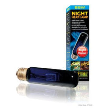 Charger l'image dans la galerie, Ampoule incandescente clair de lune Night Glo Exo Terra, T10/25 W - Boutique Le Jardin Des Animaux -Eclairage reptileBoutique Le Jardin Des AnimauxPt2122