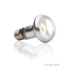 Charger l'image dans la galerie, Ampoule intense Exo Terra pour lézarder, 25 W - Boutique Le Jardin Des Animaux -Eclairage reptileBoutique Le Jardin Des AnimauxPT2196