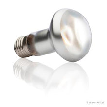 Charger l'image dans la galerie, Ampoule Intense Exo Terra pour lézarder, S20, 50 W - Boutique Le Jardin Des Animaux -Eclairage reptileBoutique Le Jardin Des AnimauxPT2135