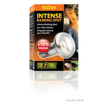 Charger l'image dans la galerie, Ampoule Intense Exo Terra pour lézarder, S20, 50 W - Boutique Le Jardin Des Animaux -Eclairage reptileBoutique Le Jardin Des AnimauxPT2135