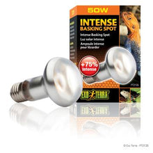 Charger l'image dans la galerie, Ampoule Intense Exo Terra pour lézarder, S20, 50 W - Boutique Le Jardin Des Animaux -Eclairage reptileBoutique Le Jardin Des AnimauxPT2135