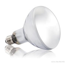 Charger l'image dans la galerie, Ampoule Solar Glo Exo Terra simulant la lumière du soleil, 125 W - Boutique Le Jardin Des Animaux -Eclairage reptileBoutique Le Jardin Des AnimauxPT2192