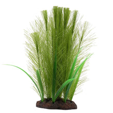Charger l'image dans la galerie, Aqualife plante Myriophylle brésilien vert et Vallisnérie - Boutique Le Jardin Des Animaux -DécorationBoutique Le Jardin Des Animauxpp1640
