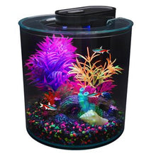 Charger l'image dans la galerie, Aquarium équipé 360 iGlo Marina, 10 L (2,65 gal US) - Boutique Le Jardin Des Animaux -AquariumBoutique Le Jardin Des Animaux12849