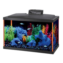 Charger l'image dans la galerie, Aquarium équipé Aqueon, NeoGlow LED, 10 gallons, orange - Boutique Le Jardin Des Animaux -AquariumBoutique Le Jardin Des Animaux22676