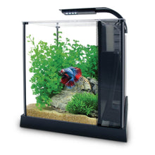 Charger l'image dans la galerie, Aquarium équipé Betta haut de gamme, 10 L (2,6 gal US) - Boutique Le Jardin Des Animaux -AquariumBoutique Le Jardin Des Animaux10498