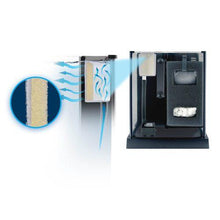 Charger l'image dans la galerie, Aquarium équipé Betta haut de gamme, 10 L (2,6 gal US) - Boutique Le Jardin Des Animaux -AquariumBoutique Le Jardin Des Animaux10498