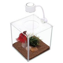 Charger l'image dans la galerie, Aquarium équipé Cubus Marina pour betta, 3,4 L (0,9 gal US) - Boutique Le Jardin Des Animaux -AquariumBoutique Le Jardin Des Animaux13485